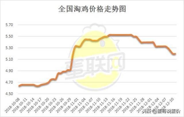 今日淘汰鸡价格走势分析，最新价格揭秘