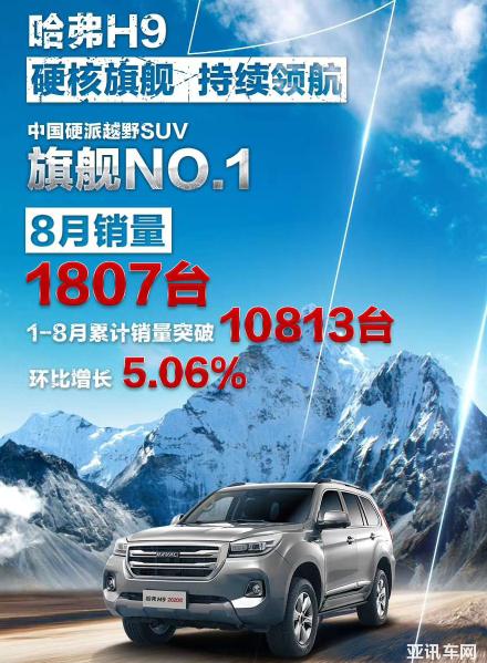 H9最新销量报告，市场趋势、前景展望及热门产品分析