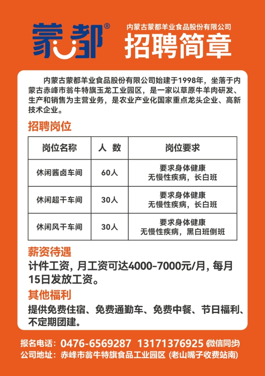 石家庄最新招聘动态，职场动态掌握，迈向成功之路