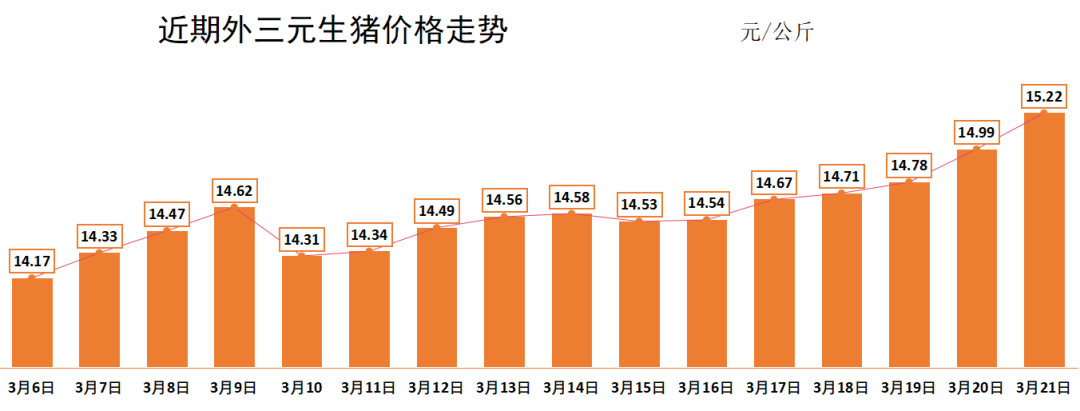 全国最新生猪价格走势深度解析