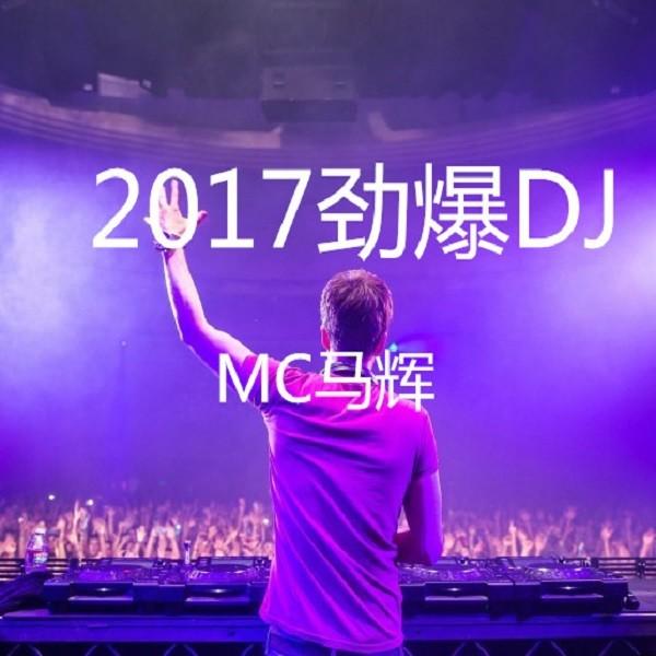 引领舞曲潮流的震撼之音，2017年DJ最新歌曲