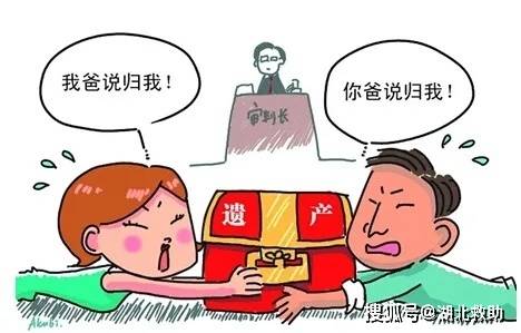 最新继承权，法律与社会变革中的权益保障新动向